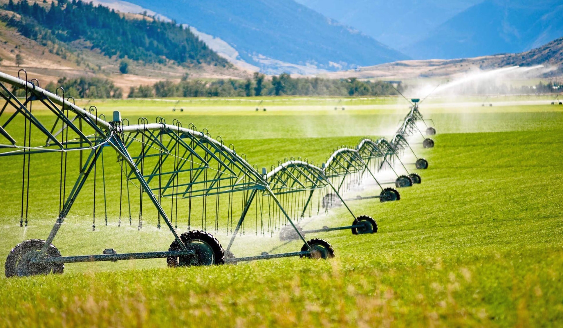 افزایش بهره‌وری آب، ثمره کشاورزی مدرن