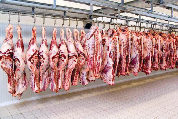 تشکیل زنجیره تامین و توزیع گوشت گرم در کردستان