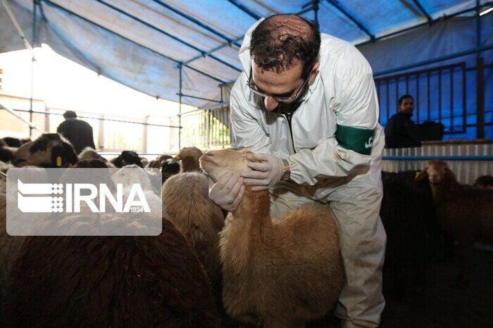 بازرسی بهداشتی بر تولید بیش از هفت هزار تن گوشت در استان مرکزی