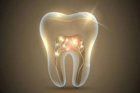 نخستین داروی رشد مجدد دندان به‌زودی روی انسان آزمایش می‌شود