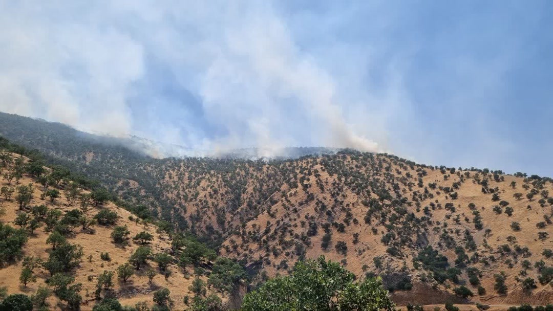 آتش‌سوزی در زیستگاه گوزن مینیاتوری؛ «بوزین و مره‌خیل» سوخت