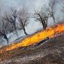مهار آتش‌سوزی‌های جنگلی در غرب و جنوب غرب کشور