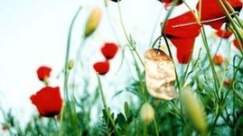 پیرو ولایت باشید