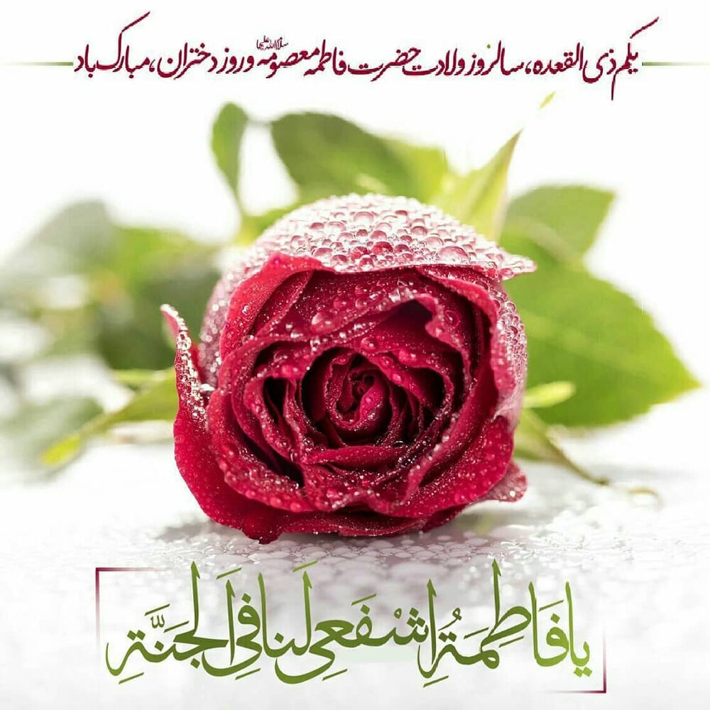 حضرت معصومه (س)، الگوی دختران برای تقویت ارزش‌های انسانی و زیبایی‌های شخصیتی