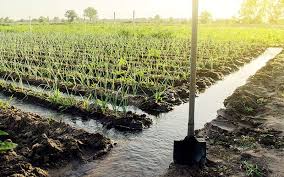 آبیاری سنتی و شخم غیر اصولی؛ دو روی سکه فرسایش خاک کشاورزی