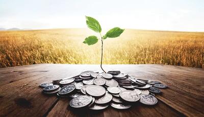 وام‌هایی که دیر می‌رسند، زمین‌هایی که خالی می‌مانند