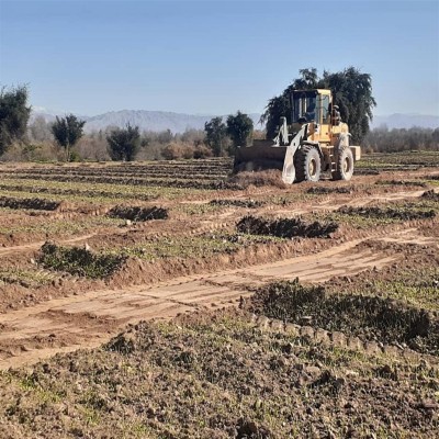 بازپس‌گیری 37 هزار متر مربع زمین ملی در استان کرمانشاه