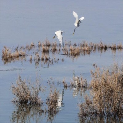 تالاب‌های استان همدان امسال آب‌گیری نشدند