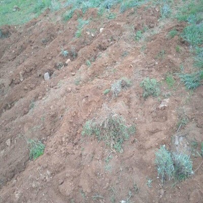 هفت هزار مترمربع از اراضی حفاظت‌شده عبدالرزاق سقز رفع تصرف شد