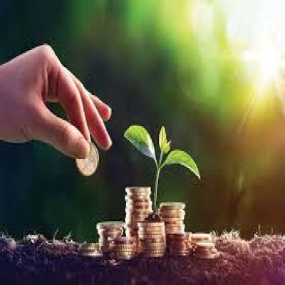 حمایت محلی، شفافیت اطلاعات و کاهش تصدی‌گری؛ سه محور کلیدی جذب سرمایه‌گذار