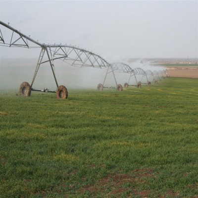 11 طرح بزرگ کشاورزی ایلام چشم‌انتظار حمایت دولت