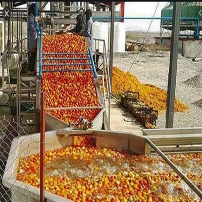 13 همت طرح توسعه بخش کشاورزی در کرمانشاه مجوز گرفت