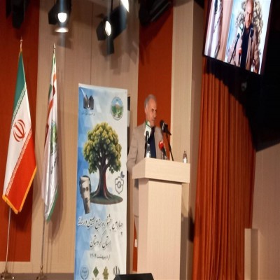 46 درصد از طرح مردمی کاشت یک میلیارد درخت در زاگرس اجرا می‌شود