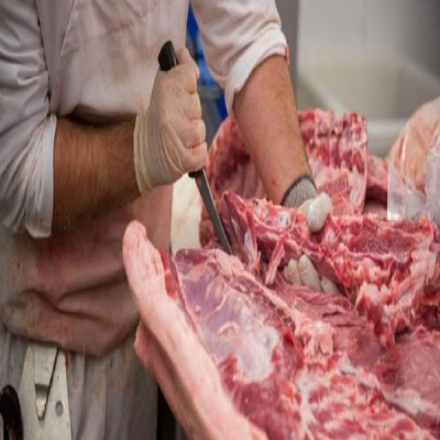 افزایش 100 درصدی کشتار مجاز در دهلران