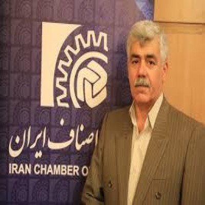 انتقال نمایشگاه‌های خودرو و صنوف آلاینده به خارج از شهر ایلام، ضروری است