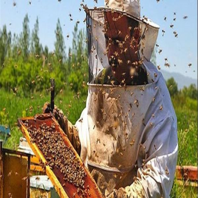 جشنواره عسل در خمین برگزار می‌شود