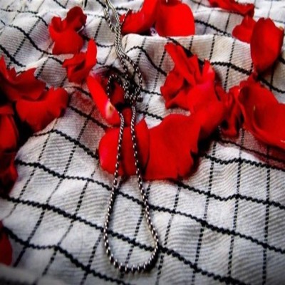 خون شهدا را پایمال نکنید