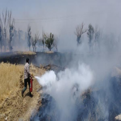 مهار آتش‌سوزی پوشش گیاهی در دانشگاه علوم پزشکی همدان