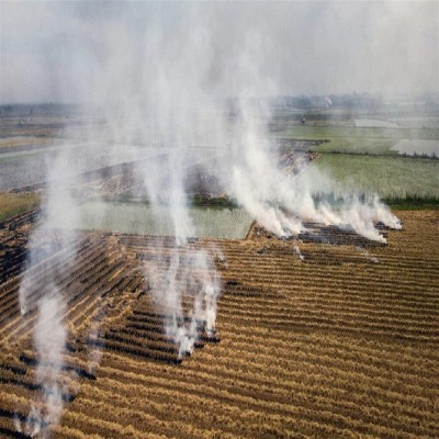 دم کردن چای، هشت هکتار از اراضی رزن را به آتش کشید