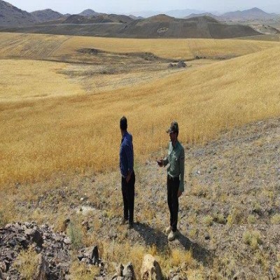 برخورد قانونی با متصرفان و متخلفان اراضی ملی در ملایر