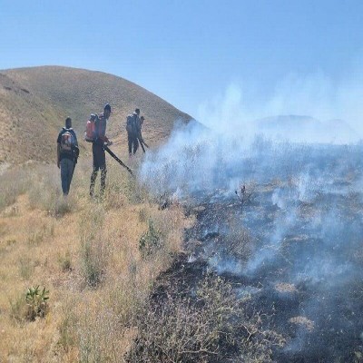 160 هکتار از مراتع و جنگل‌های سنندج طعمه حریق شد