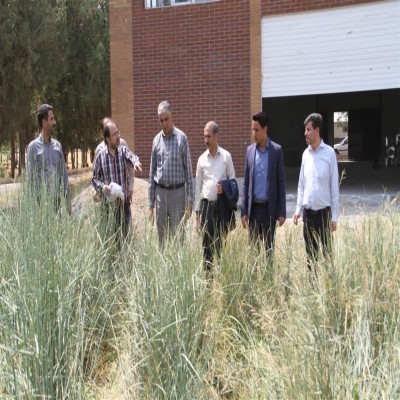 بازدید مدیرکل دفتر امور بیابان منابع طبیعی و آبخیزداری کشور از طرح‌های بیابان‌زدایی همدان