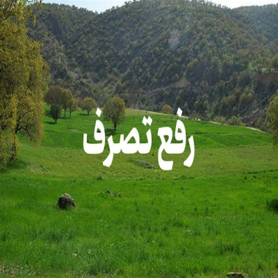 بازپس‌گیری زمین‌ دولتی به ارزش 4 میلیارد ریال در نهاوند