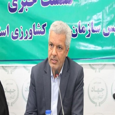 خرید بیش از 350 هزار تُن گندم با وجود کاهش 40 درصدی بارندگی