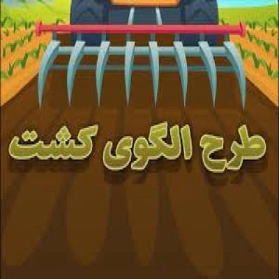 الگوی کشت پشتوانه قانونی و حقوقی ندارد