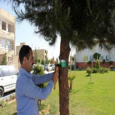 تمامی درختان شهر رزن تا پایان سال‌ جاری پلاک‌گذاری می‌شوند