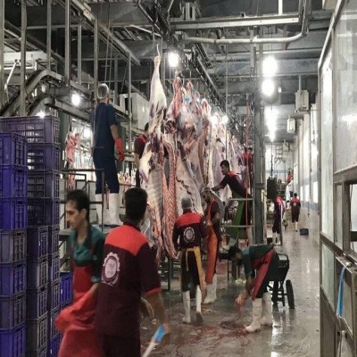 کشتارگاه صنعتی دام ایلام همچنان در کش و قوس واگذاری