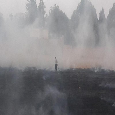 کاهش بیش از 2 برابری آتش‌سوزی در اراضی ملی شهرستان همدان