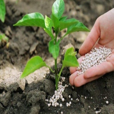 تأمین پایدار کودهای کشاورزی در استان همدان