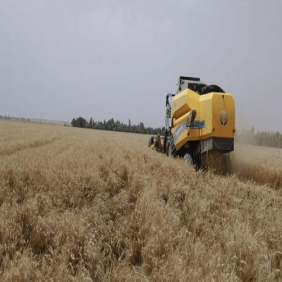 تولید سالانه 500 هزار تن محصولات کشاورزی در دهلران