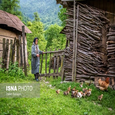 روستاها چطور خلوت شدند؟