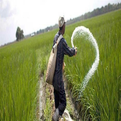 استان همدان پیشتاز در جذب کود اوره کشاورزی در کشور