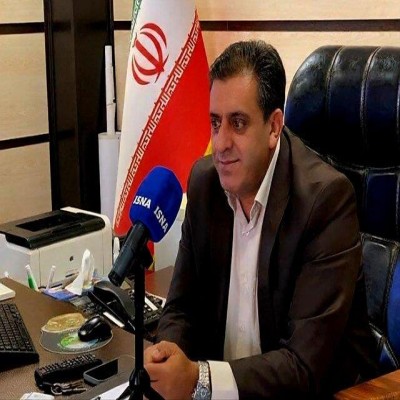 فعالیت زنبورهای گالزا در بلوط‌های بدره تهدیدی برای جنگل محسوب نمی‌شود