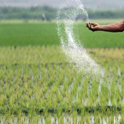 تحول در بخش کشاورزی استان مرکزی با اختصاص 6 هزار میلیارد ریال اعتبار ملی