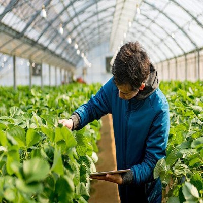 تاب‌آوری کشاورزان را با دانش روز باید افزایش دهیم