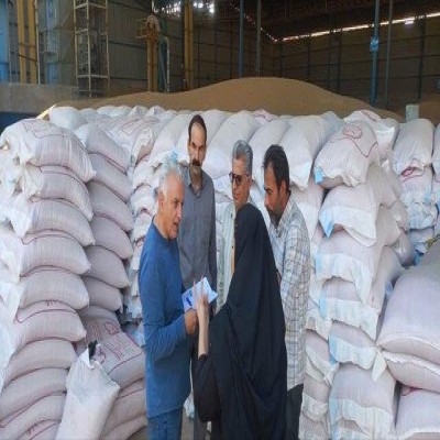 ایلام ظرفیت تولید بذر کیفی دارد