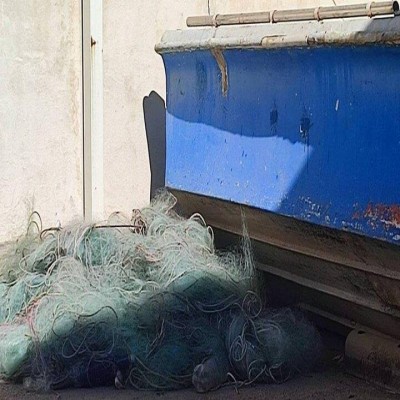 کشف 2 هزار متر تور صید غیرمجاز در تالاب زریبار مریوان