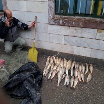 تشکیل دو پرونده صید غیرمجاز ماهی در بیجار