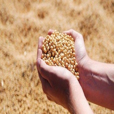 مسئولیت نظارت و توزیع نهاده‌های دامی به شرکت پشتیبانی امور دام واگذار شد