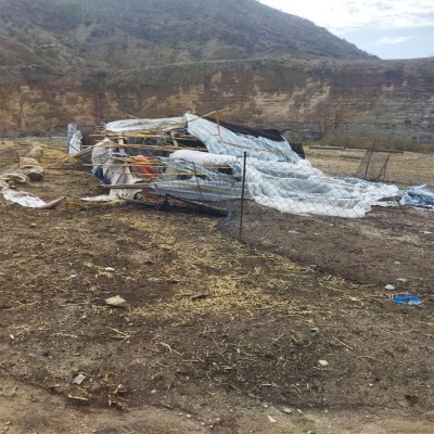 خسارت پنج میلیارد تومانی سیلاب به عشایر ایلام