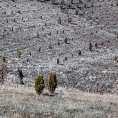 احیای مراتع سوخته اسدآباد