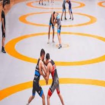 غیبت قهرمانان جهان از حضور در کشتی انتخابی تیم ملی