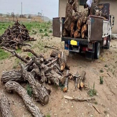 کشف 10 تن چوب جنگلی قاچاق در دهگلان