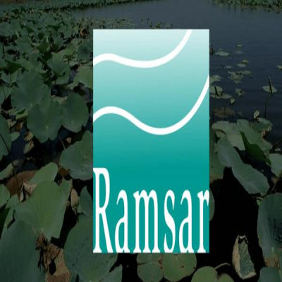 کنوانسیون بین‌المللی به نام یک شهر ایرانی