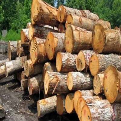 کشف 11 تُن چوب قاچاق در تویسرکان