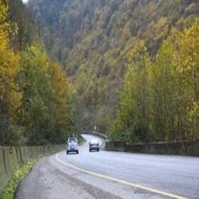 احداث جاده‌های جنگلی جدید در طرح جنگلداری نوین ممنوع است